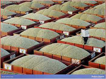 Peanut Drying Trailers