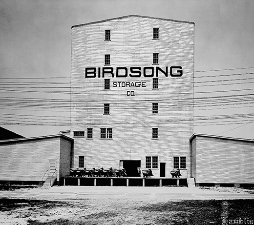 Birdsong-Storage
